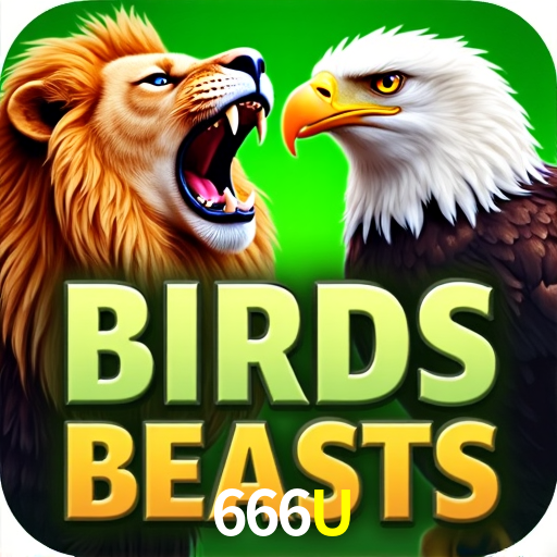 Responsive Design 666U